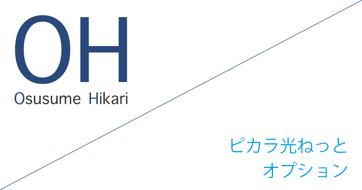 ピカラ光ねっと オプション
